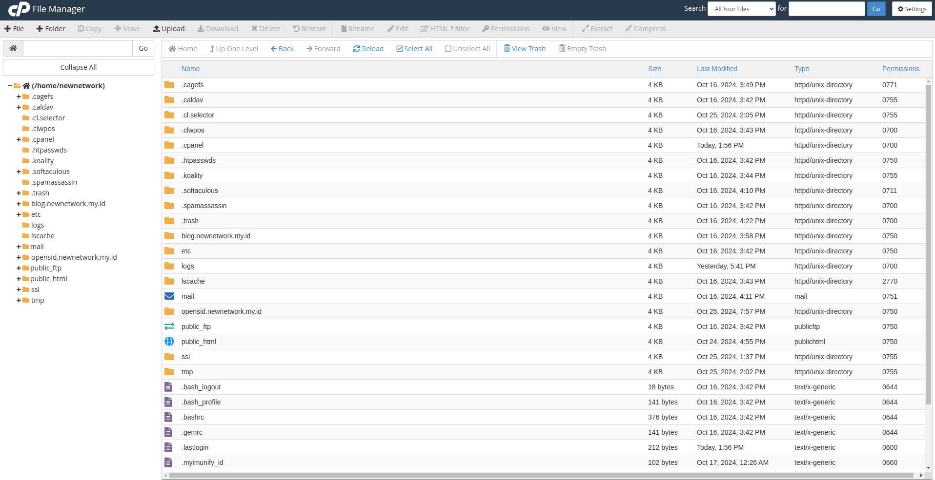 halaman file manager cpanel