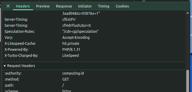 hasil di browser optimasi openlitespeed